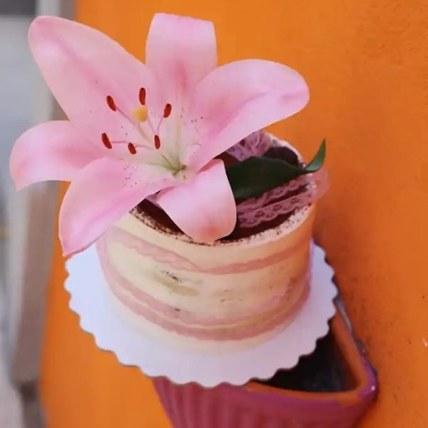 IMG_7291