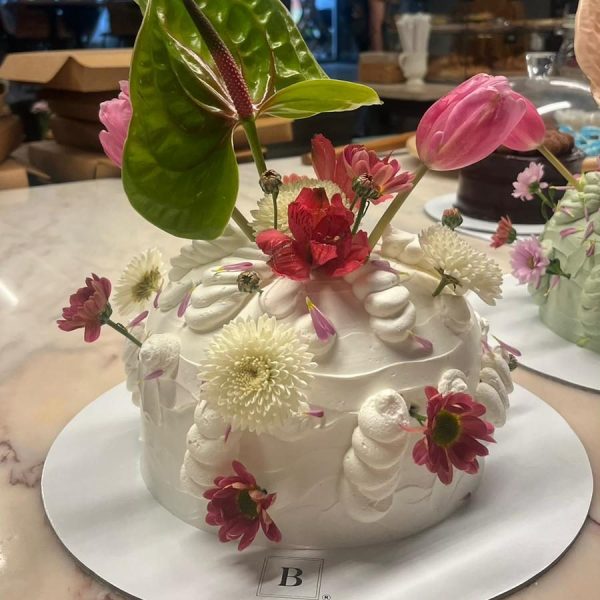 WhatsApp Image 2024-02-02 at 17.11.59