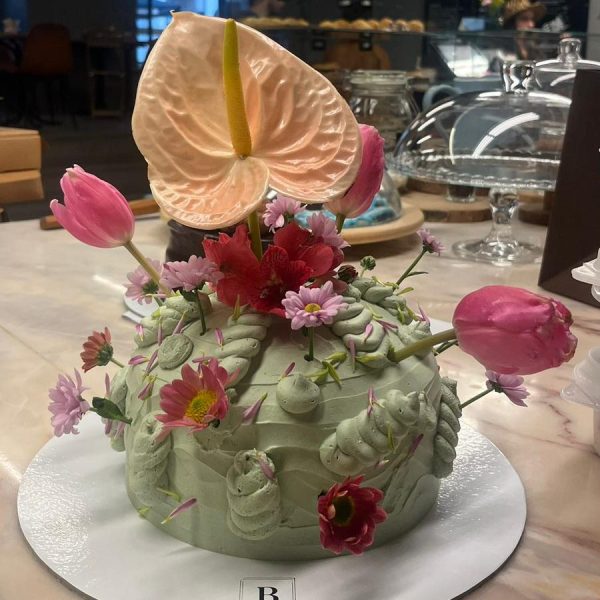 WhatsApp Image 2024-02-02 at 17.12.32