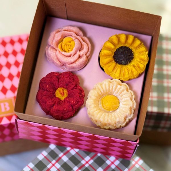 WhatsApp Image 2026-02-27 at 15.42.41