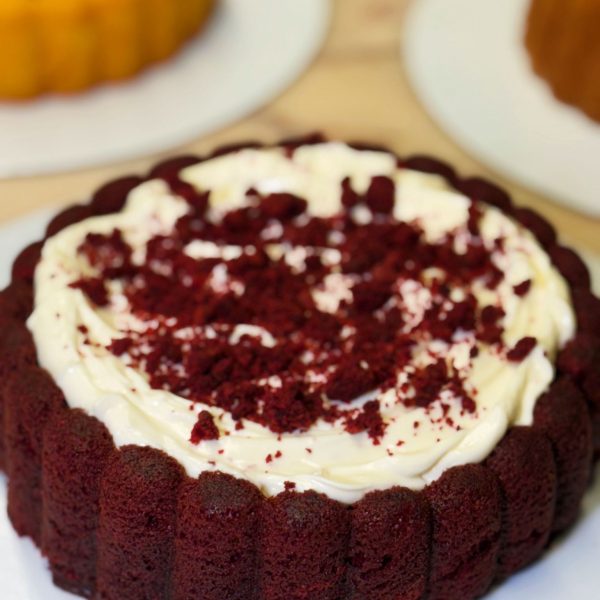 WhatsApp Image 2026-02-27 at 15.58.33