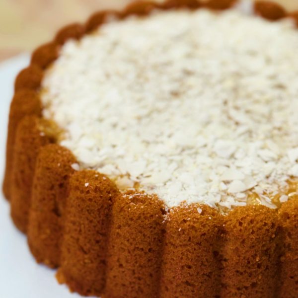 WhatsApp Image 2026-02-27 at 16.29.14 (1)